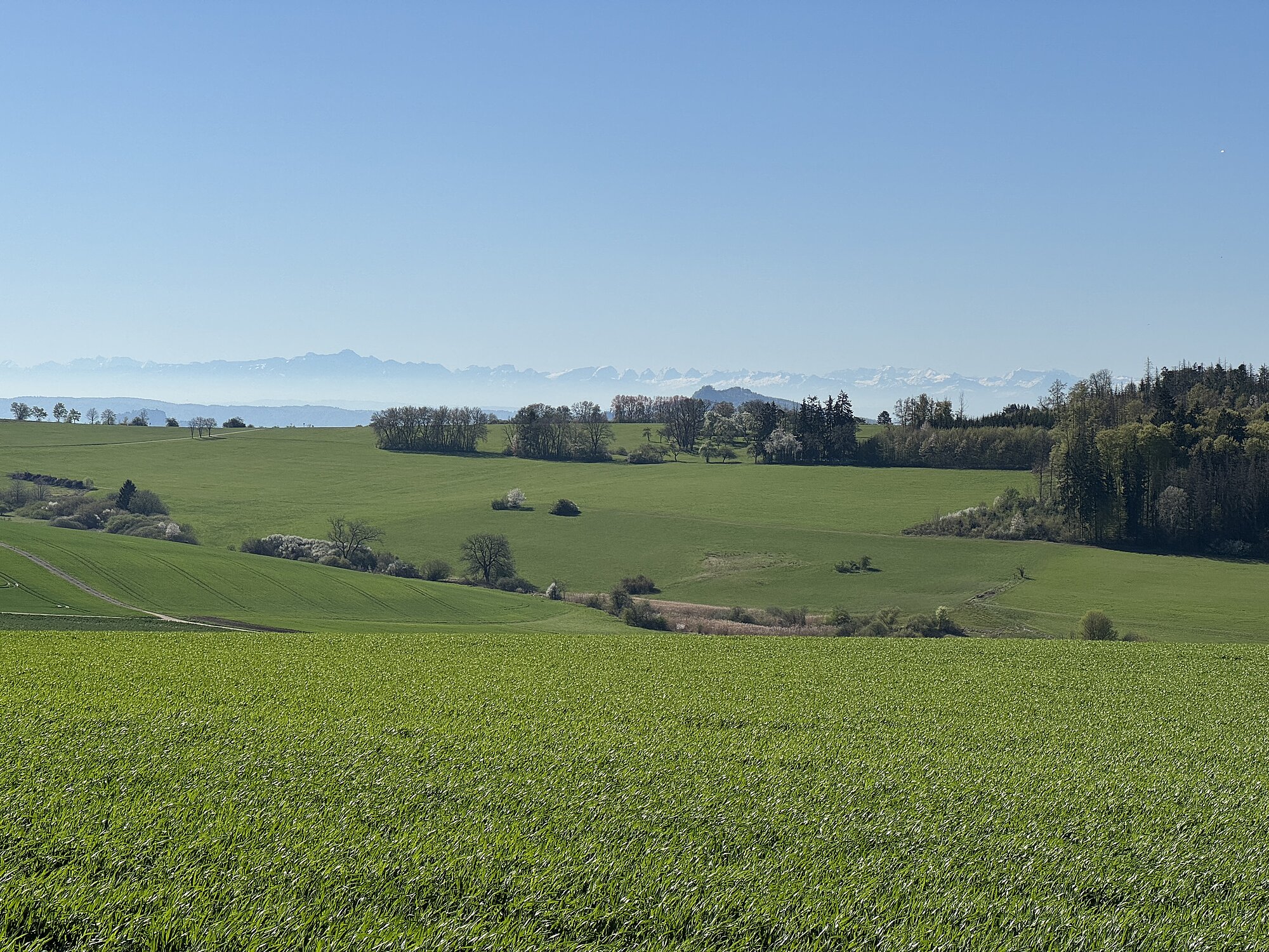 Alpenpanorama, Leipferdingen, Berge